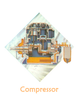 Compressor Crankshaft